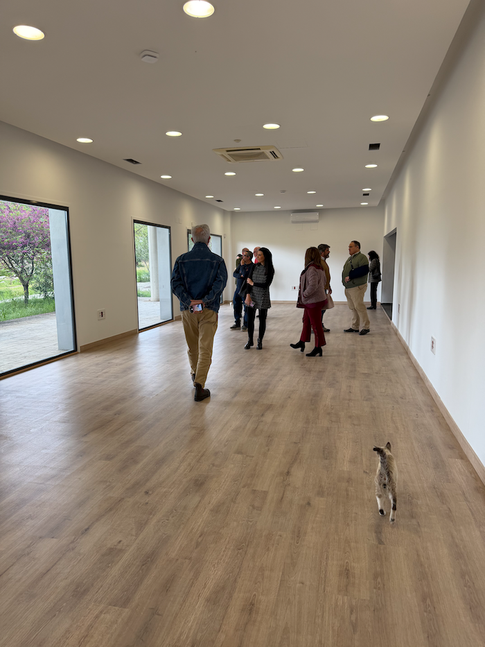 visita coworking